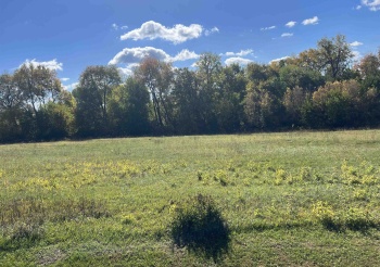 11A19 Bunker, APPLE RIVER, Illinois 61001, ,Land,For Sale,Bunker,202306533