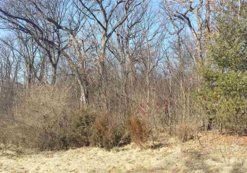 000 ROGENE (1.8 AC), OREGON, Illinois 61061, ,Land,For Sale,ROGENE (1.8 AC),202100723