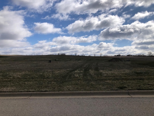 411 Oak Ridge Dr, LENA, Illinois 61048, ,Land,For Sale,Oak Ridge Dr,202401315