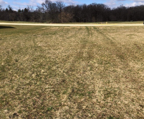 411 Oak Ridge Dr, LENA, Illinois 61048, ,Land,For Sale,Oak Ridge Dr,202401315