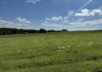 31-65 Wakonda, LAKE CARROLL, Illinois 61046, ,Land,For Sale,Wakonda,202401379