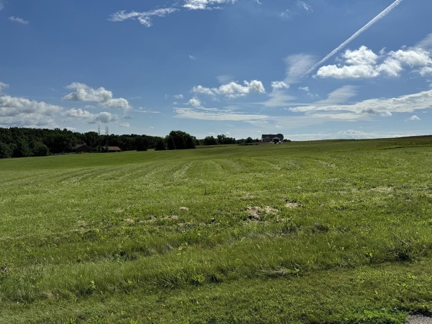 31-65 Wakonda, LAKE CARROLL, Illinois 61046, ,Land,For Sale,Wakonda,202401379