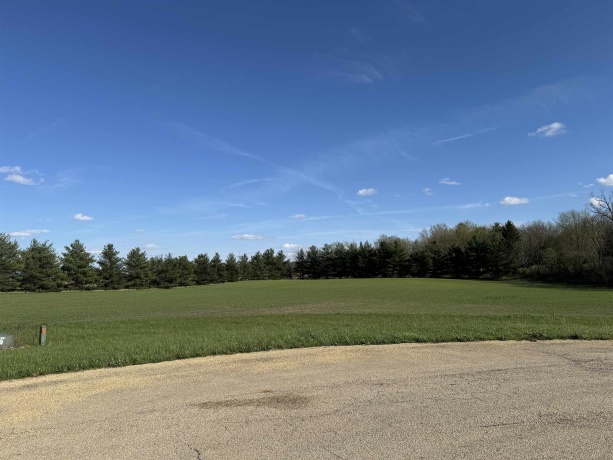 000 Austin, OREGON, Illinois 61061, ,Land,For Sale,Austin,202401779