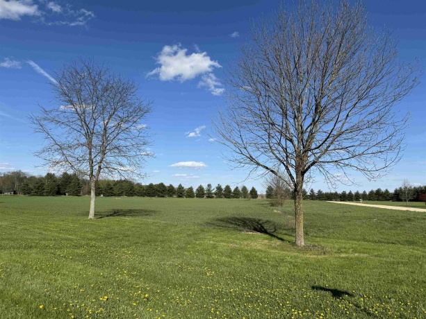 000 Austin, OREGON, Illinois 61061, ,Land,For Sale,Austin,202401779