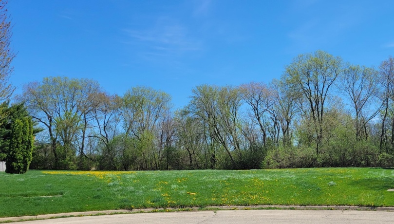 6485 Shiloh, ROCKFORD, Illinois 61107, ,Land,For Sale,Shiloh,202401953