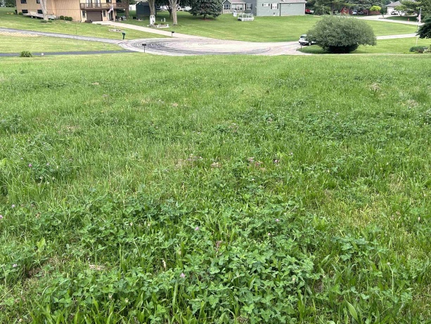 1008 Autumn, DAVIS, Illinois 61019, ,Land,For Sale,Autumn,202403141