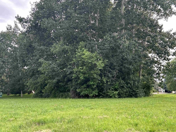 1008 Autumn, DAVIS, Illinois 61019, ,Land,For Sale,Autumn,202403141