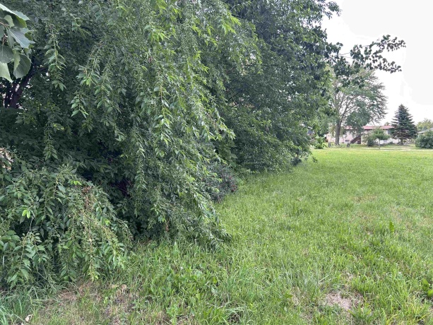 1008 Autumn, DAVIS, Illinois 61019, ,Land,For Sale,Autumn,202403141