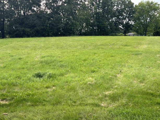 1008 Autumn, DAVIS, Illinois 61019, ,Land,For Sale,Autumn,202403141