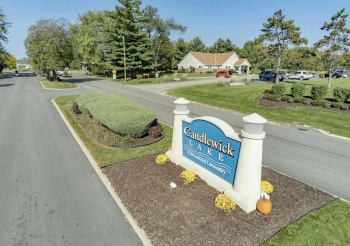 124 Brandywine, POPLAR GROVE, Illinois 61065, ,Land,For Sale,Brandywine,202403310