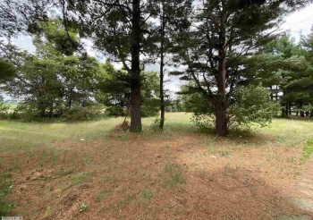 Lot 20 Squire, THOMSON, Illinois 61285, ,Land,For Sale,Squire,1111164