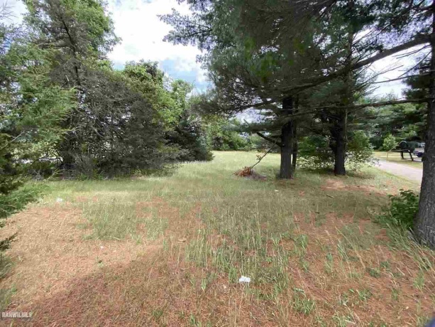 Lot 20 Squire, THOMSON, Illinois 61285, ,Land,For Sale,Squire,1111164