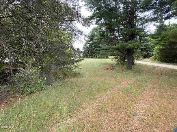 Lot 20 Squire, THOMSON, Illinois 61285, ,Land,For Sale,Squire,1111164