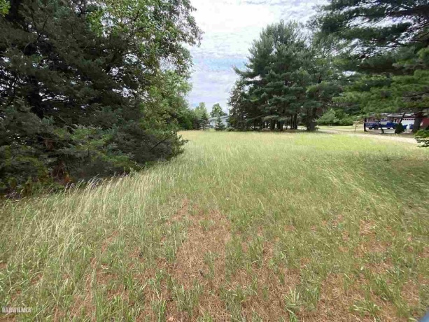 Lot 20 Squire, THOMSON, Illinois 61285, ,Land,For Sale,Squire,1111164