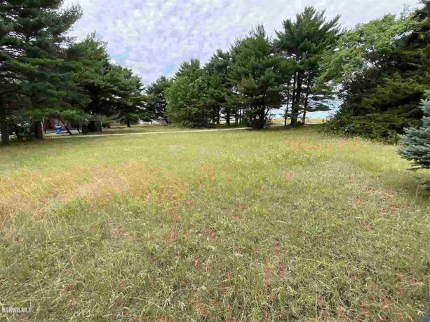 Lot 20 Squire, THOMSON, Illinois 61285, ,Land,For Sale,Squire,1111164