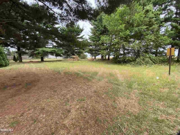 Lot 1 Squire, THOMSON, Illinois 61285, ,Land,For Sale,Squire,1111165