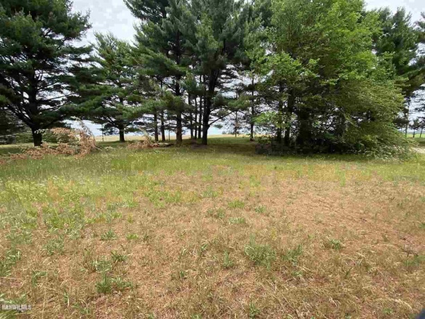 Lot 1 Squire, THOMSON, Illinois 61285, ,Land,For Sale,Squire,1111165