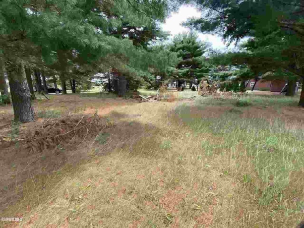 Lot 1 Squire, THOMSON, Illinois 61285, ,Land,For Sale,Squire,1111165