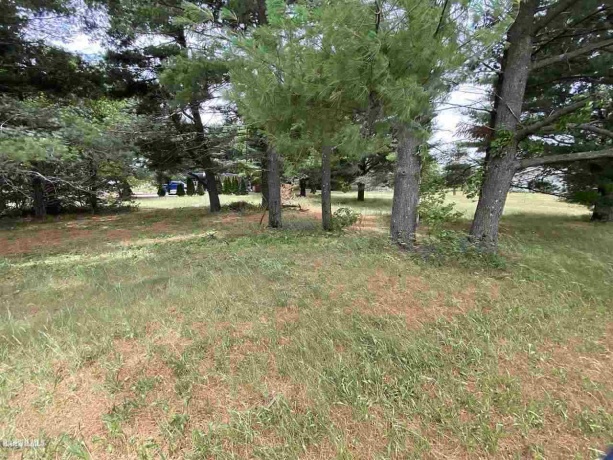 Lot 1 Squire, THOMSON, Illinois 61285, ,Land,For Sale,Squire,1111165