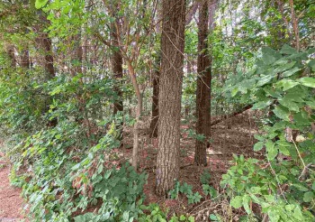 Lot 3 Squire, THOMSON, Illinois 61285, ,Land,For Sale,Squire,1111166