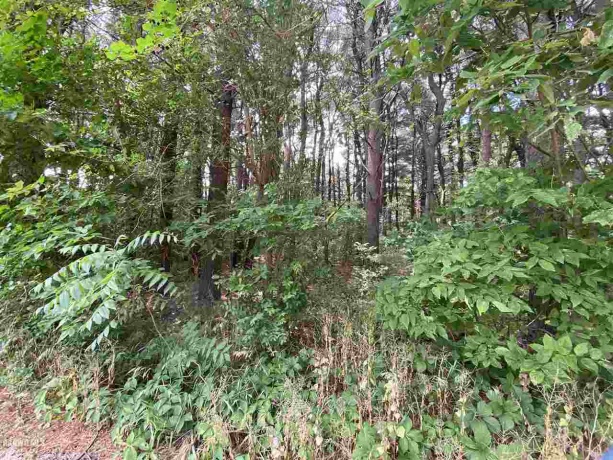 Lot 3 Squire, THOMSON, Illinois 61285, ,Land,For Sale,Squire,1111166