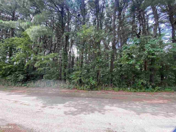 Lot 3 Squire, THOMSON, Illinois 61285, ,Land,For Sale,Squire,1111166