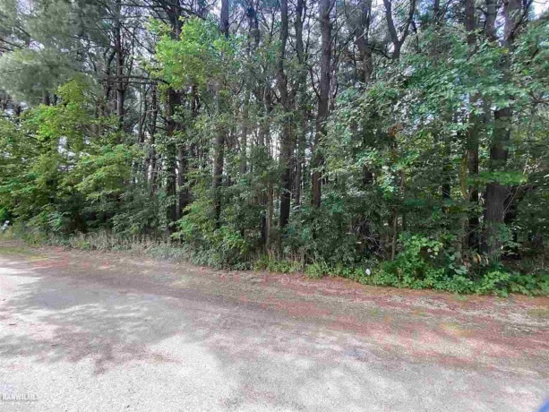 Lot 3 Squire, THOMSON, Illinois 61285, ,Land,For Sale,Squire,1111166