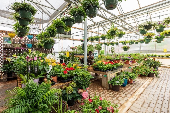 11385 US Route 20 East, STOCKTON, Illinois 61085, ,Commercial,For Sale,US Route 20 East,202403546