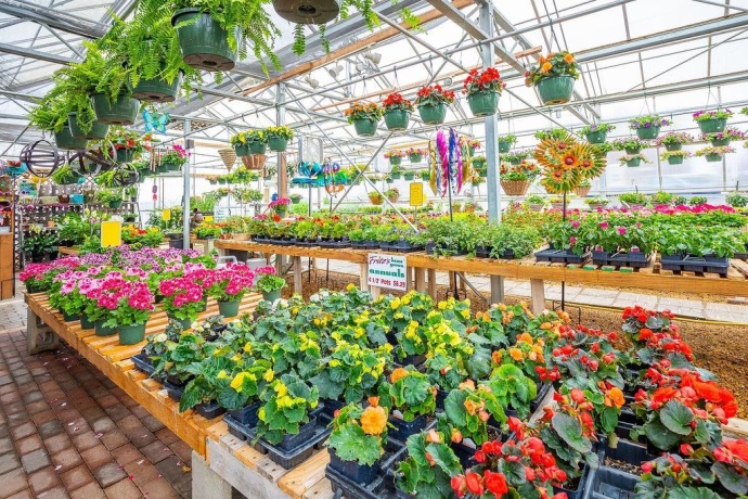 11385 US Route 20 East, STOCKTON, Illinois 61085, ,Commercial,For Sale,US Route 20 East,202403546