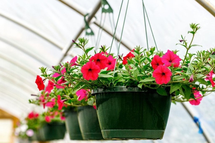 11385 US Route 20 East, STOCKTON, Illinois 61085, ,Commercial,For Sale,US Route 20 East,202403546