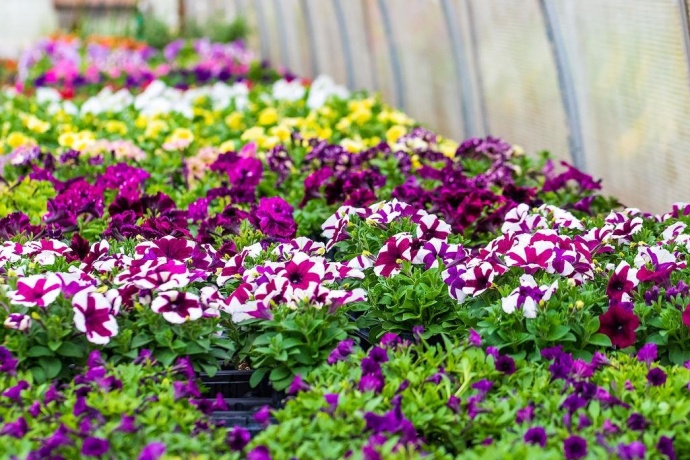 11385 US Route 20 East, STOCKTON, Illinois 61085, ,Commercial,For Sale,US Route 20 East,202403546