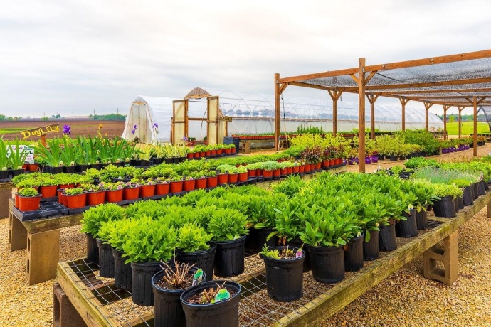 11385 US Route 20 East, STOCKTON, Illinois 61085, ,Commercial,For Sale,US Route 20 East,202403546