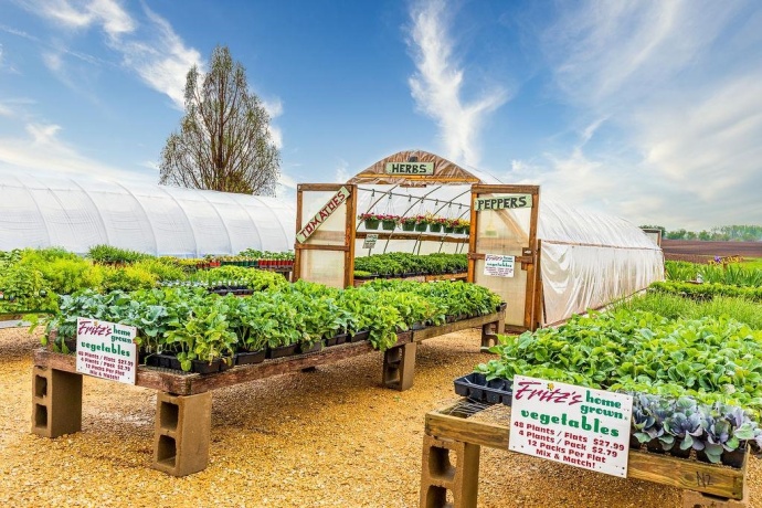 11385 US Route 20 East, STOCKTON, Illinois 61085, ,Commercial,For Sale,US Route 20 East,202403546