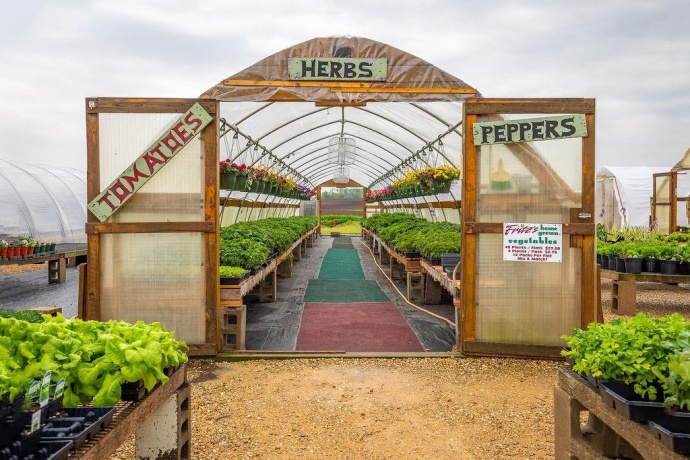 11385 US Route 20 East, STOCKTON, Illinois 61085, ,Commercial,For Sale,US Route 20 East,202403546