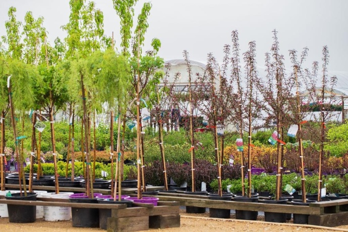 11385 US Route 20 East, STOCKTON, Illinois 61085, ,Commercial,For Sale,US Route 20 East,202403546