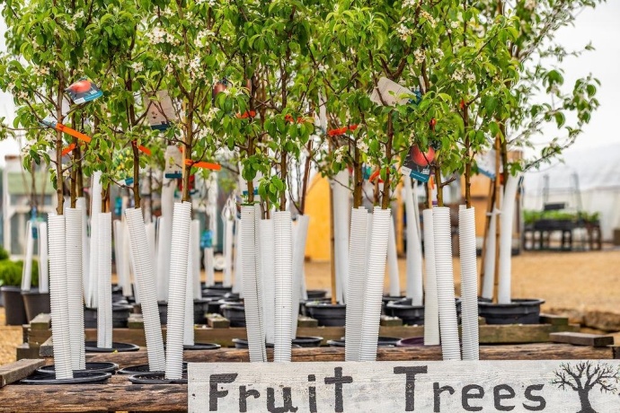 11385 US Route 20 East, STOCKTON, Illinois 61085, ,Commercial,For Sale,US Route 20 East,202403546