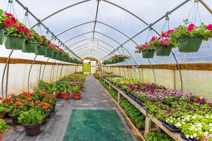 11385 US Route 20 East, STOCKTON, Illinois 61085, ,Commercial,For Sale,US Route 20 East,202403546