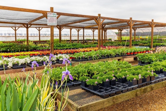 11385 US Route 20 East, STOCKTON, Illinois 61085, ,Commercial,For Sale,US Route 20 East,202403546