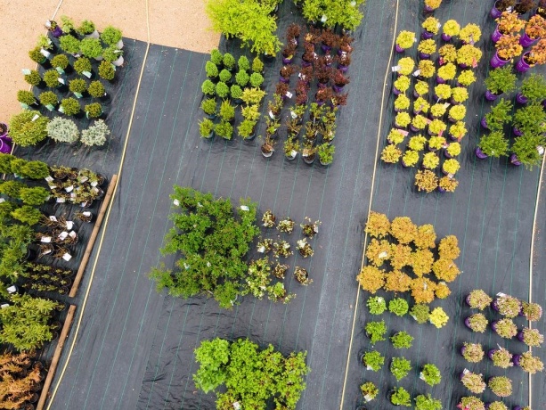 11385 US Route 20 East, STOCKTON, Illinois 61085, ,Commercial,For Sale,US Route 20 East,202403546