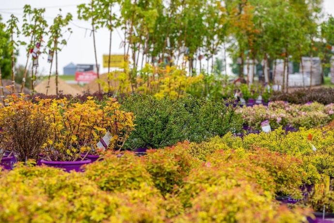 11385 US Route 20 East, STOCKTON, Illinois 61085, ,Commercial,For Sale,US Route 20 East,202403546