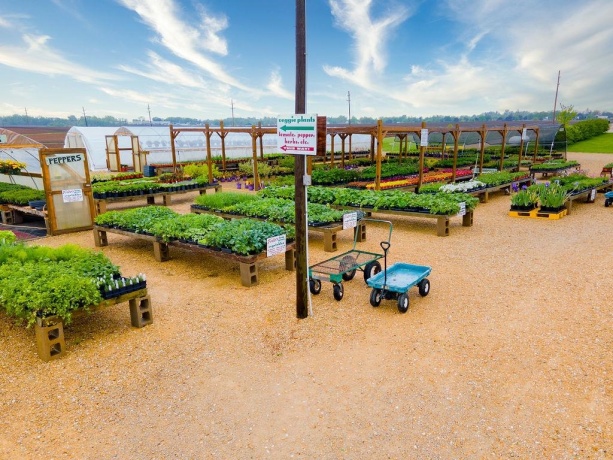 11385 US Route 20 East, STOCKTON, Illinois 61085, ,Commercial,For Sale,US Route 20 East,202403546