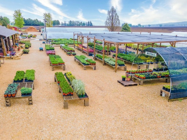 11385 US Route 20 East, STOCKTON, Illinois 61085, ,Commercial,For Sale,US Route 20 East,202403546