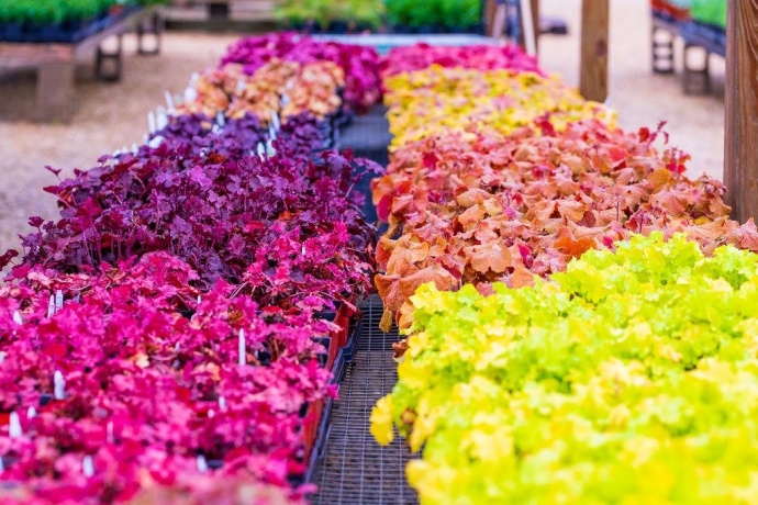 11385 US Route 20 East, STOCKTON, Illinois 61085, ,Commercial,For Sale,US Route 20 East,202403546