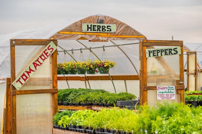 11385 US Route 20 East, STOCKTON, Illinois 61085, ,Commercial,For Sale,US Route 20 East,202403546