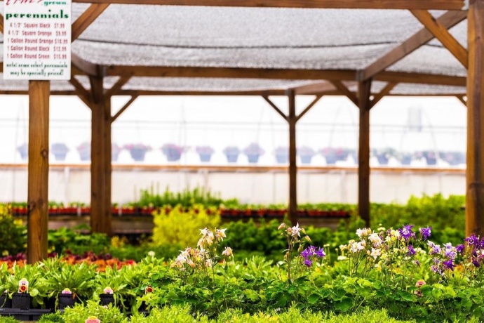 11385 US Route 20 East, STOCKTON, Illinois 61085, ,Commercial,For Sale,US Route 20 East,202403546