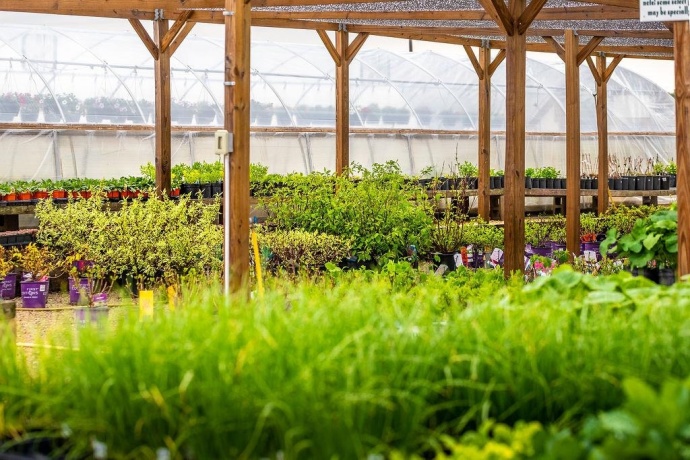 11385 US Route 20 East, STOCKTON, Illinois 61085, ,Commercial,For Sale,US Route 20 East,202403546