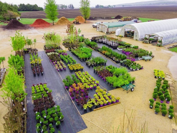 11385 US Route 20 East, STOCKTON, Illinois 61085, ,Commercial,For Sale,US Route 20 East,202403546