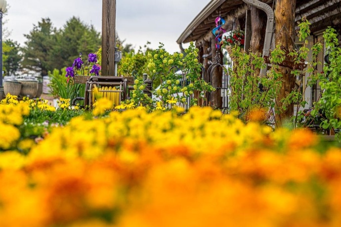 11385 US Route 20 East, STOCKTON, Illinois 61085, ,Commercial,For Sale,US Route 20 East,202403546