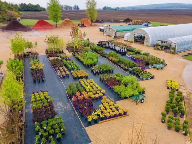 11385 US Route 20 East, STOCKTON, Illinois 61085, ,Commercial,For Sale,US Route 20 East,202403546