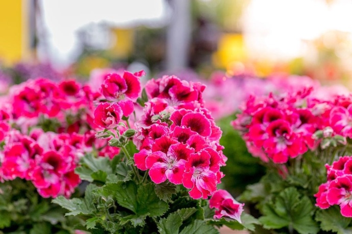 11385 US Route 20 East, STOCKTON, Illinois 61085, ,Commercial,For Sale,US Route 20 East,202403546